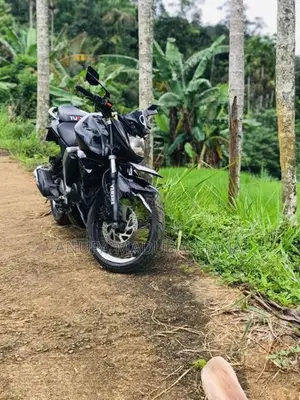 Yamaha FZs V2 2018