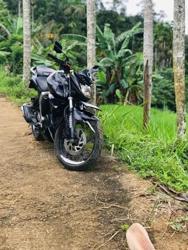 Yamaha FZs V2 2018
