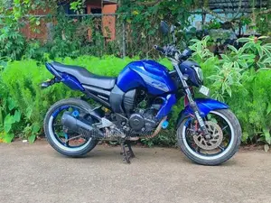 Yamaha FZ 2013