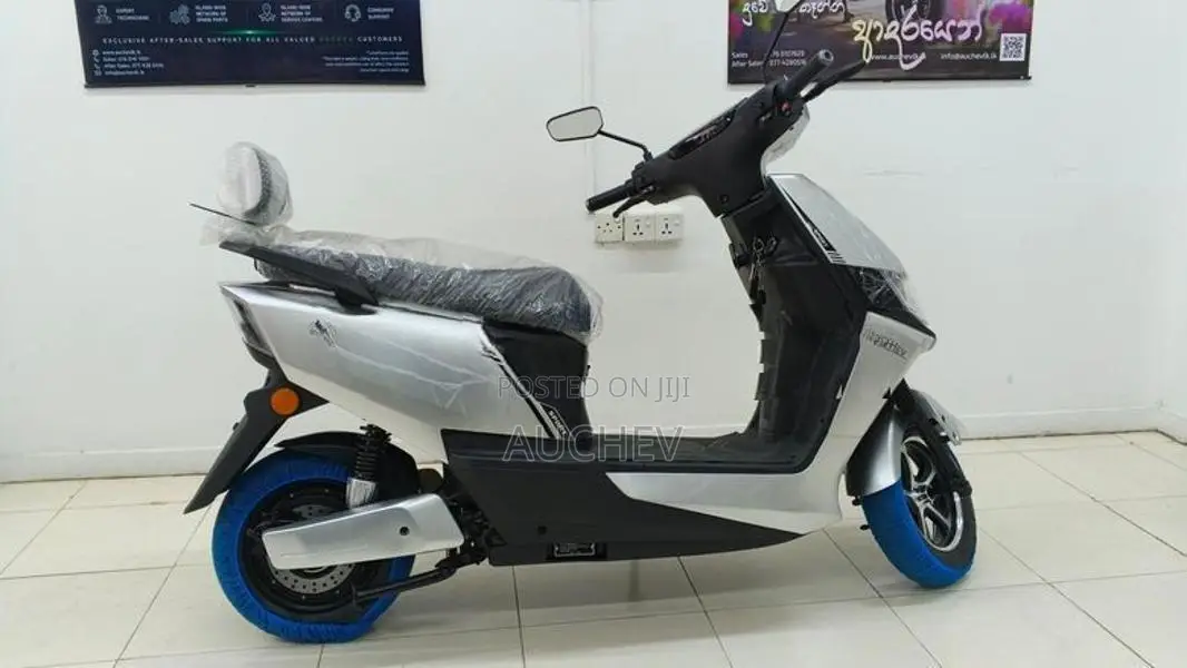 Auchev Pisces 2026