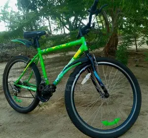King Star Bicycle
