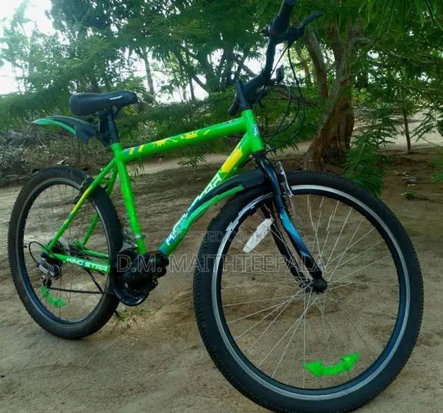 King Star Bicycle
