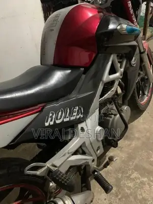 Demak DZM 200 2015