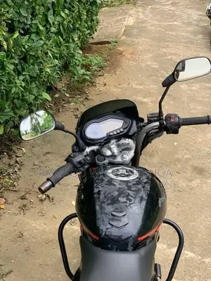 Bajaj Pulsar 150 2009
