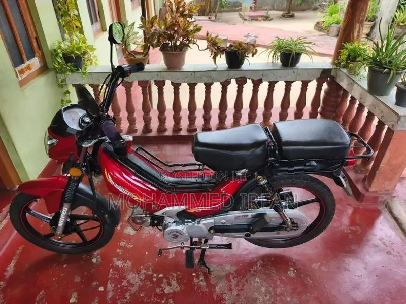 Ranomoto No 2025