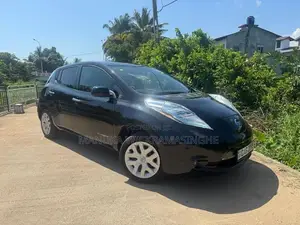 Nissan Leaf 2014