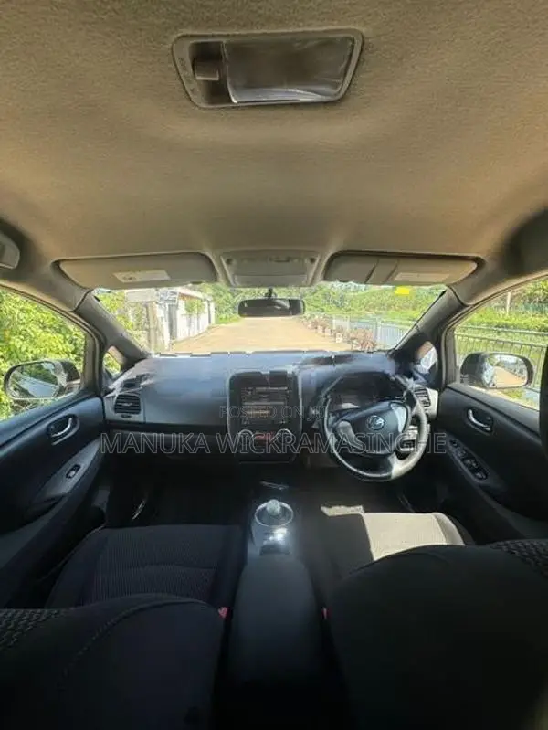 Nissan Leaf 2014