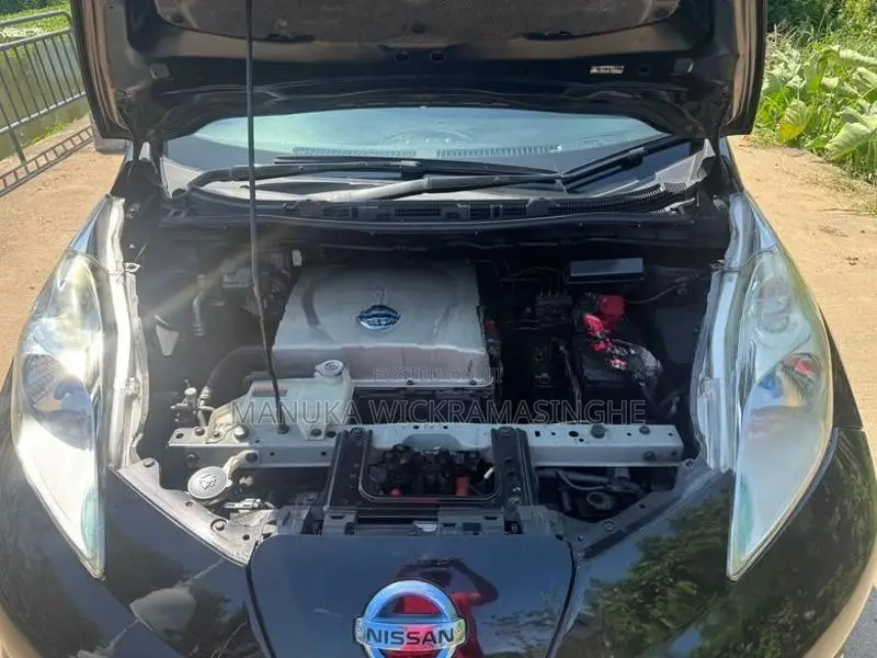 Nissan Leaf 2014
