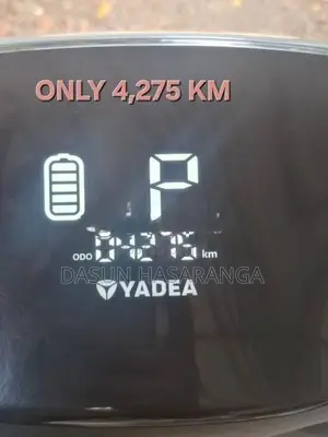 Yadea Ruibin Rubin 2024