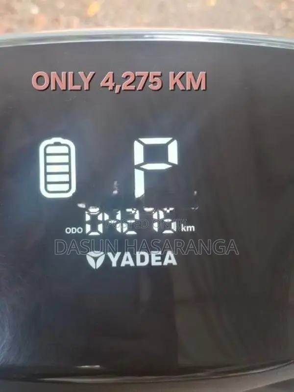 Yadea Ruibin Rubin 2024