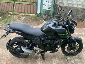 Yamaha FZS V3 2019