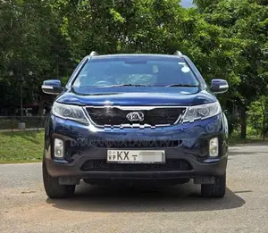 Kia Sorento 1-14 2013