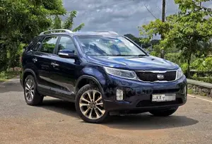 Kia Sorento 1-14 2013