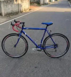 Rally Bicycle