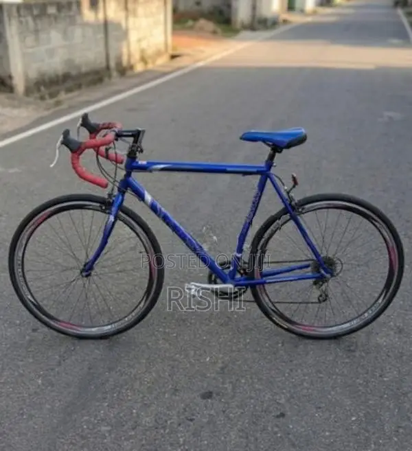 Rally Bicycle