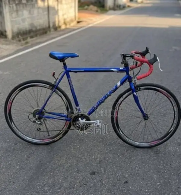 Rally Bicycle