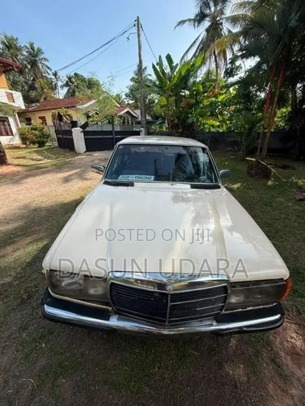 Mercedes Benz W123 1977