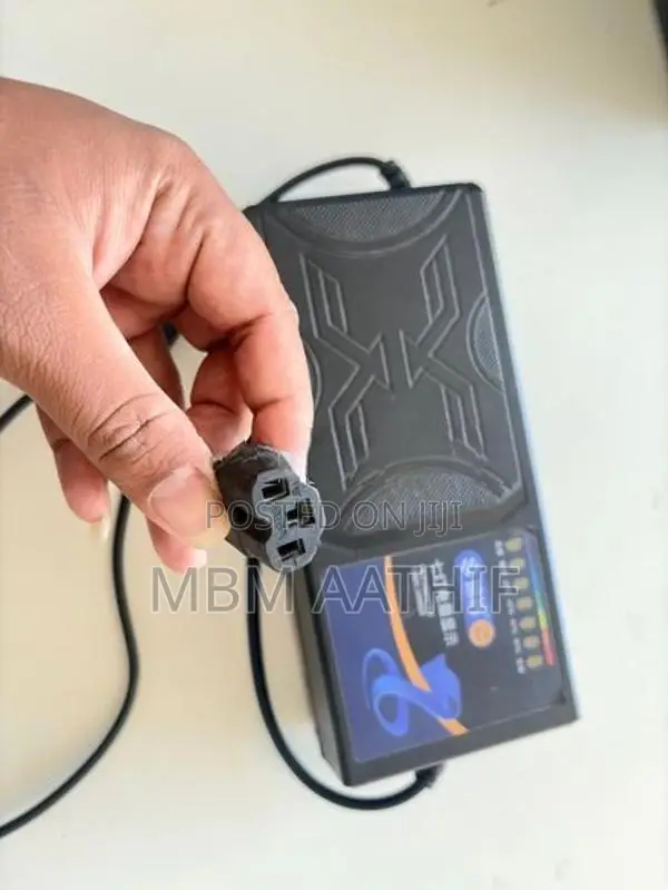 72v Electric Bike Charger