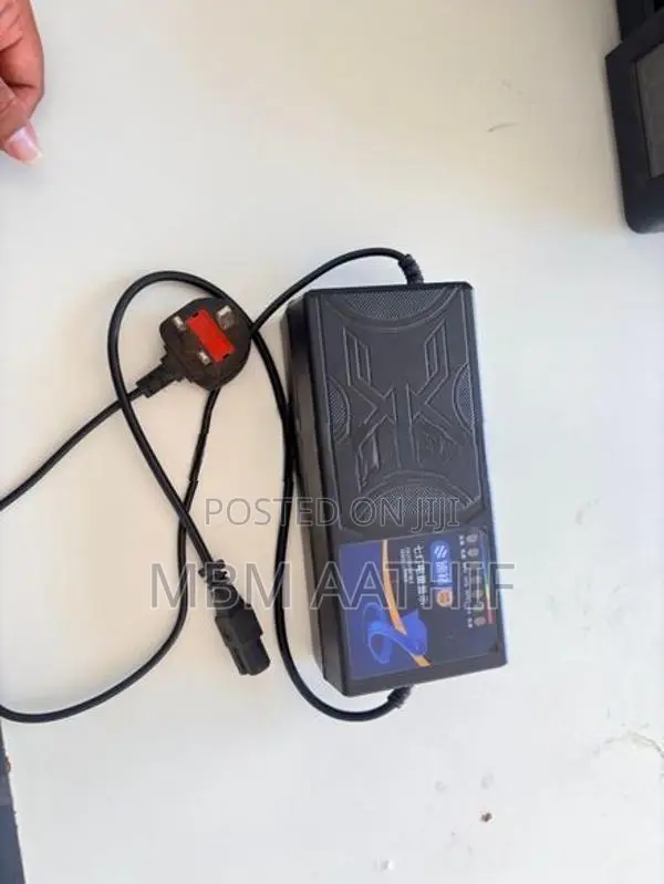 72v Electric Bike Charger