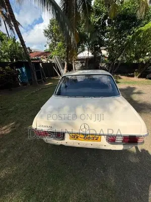 Mercedes Benz W123 1977
