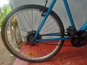 Lumala Bicycle