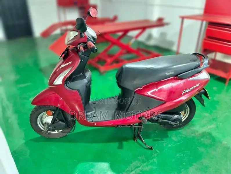 Hero Pleasure 2015