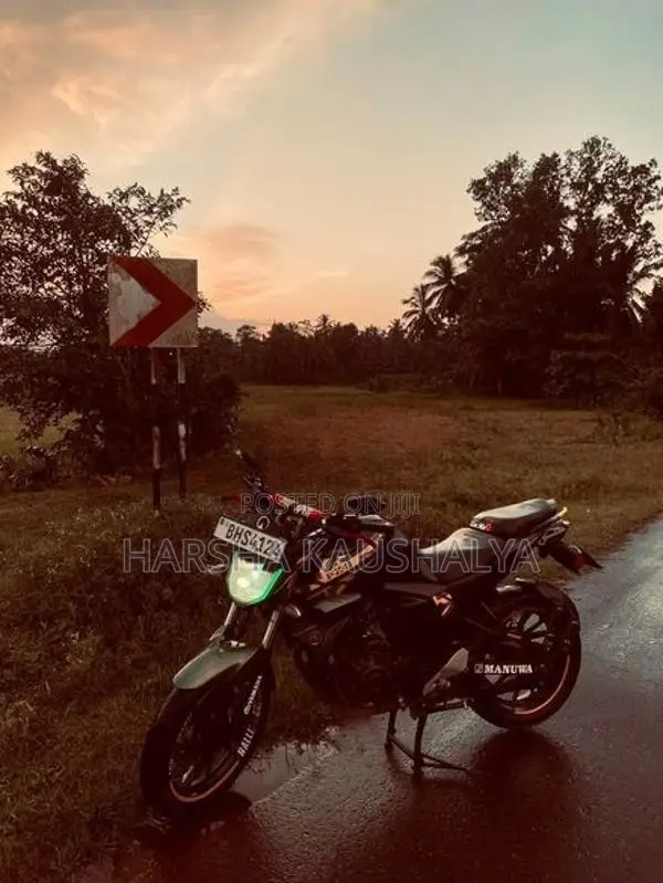 Yamaha FZs V2 2019