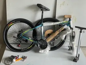 Mountain Bicycle