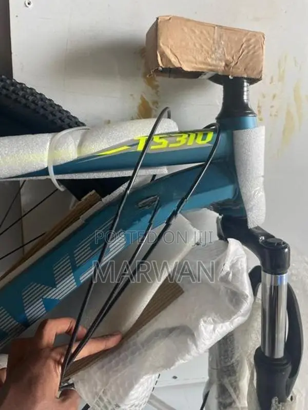 Mountain Bicycle