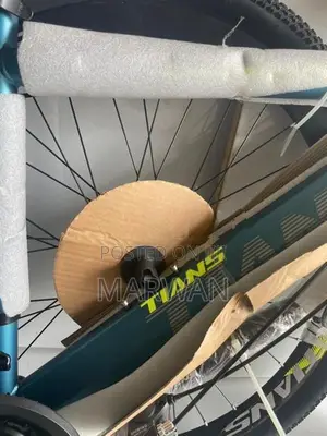 Mountain Bicycle