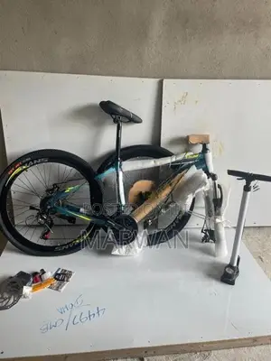 Mountain Bicycle