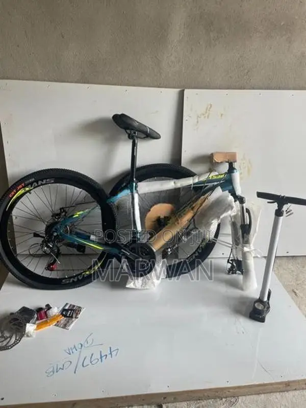 Mountain Bicycle