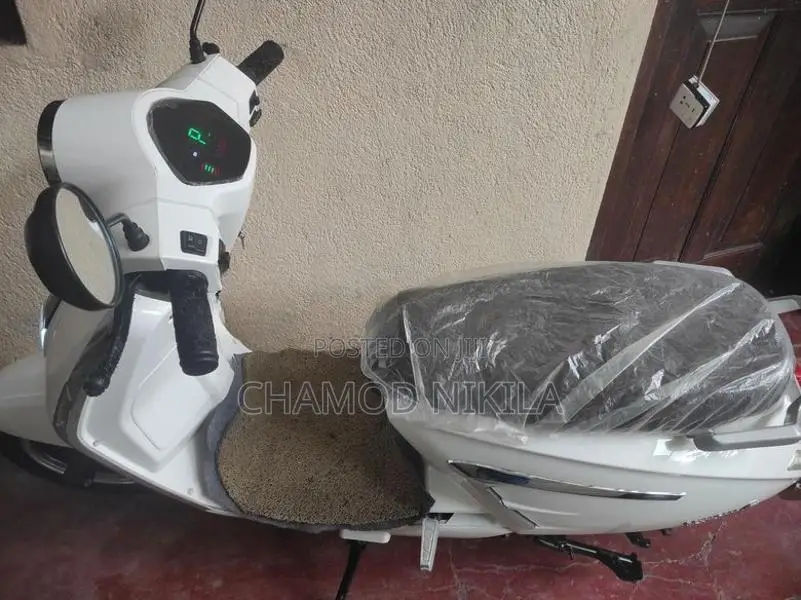 NWOW WSP 2024
