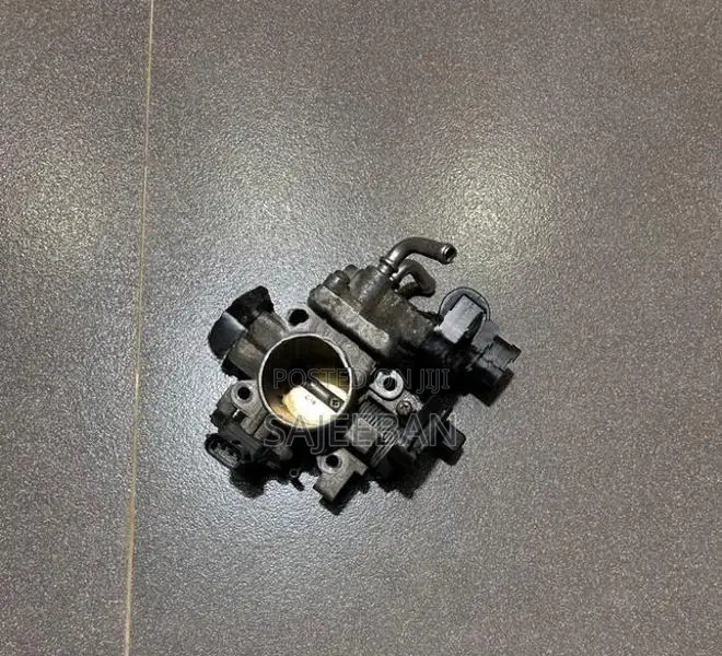 Throttle Body / Seat Belts