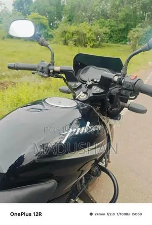Bajaj Pulsar 150 2015