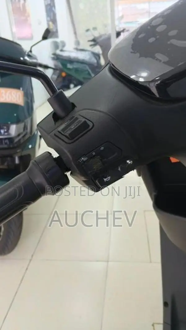 AUCHEV Pisces 2026