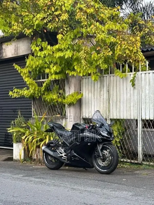 Yamaha R15 2019