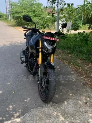 Hero Hunk 160R 4V 2025