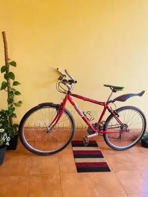 Japan Bicycle