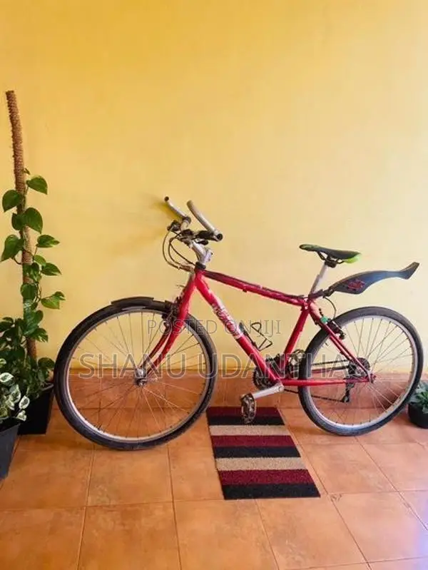 Japan Bicycle