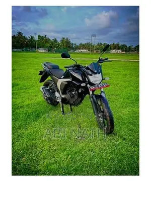 Yamaha FZs V