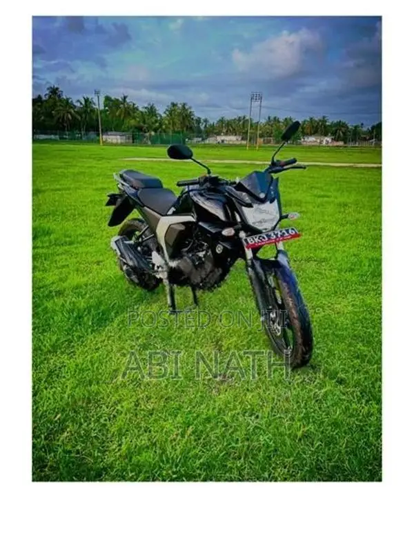 Yamaha FZs V