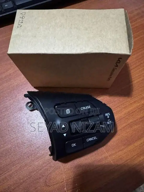 Kia Sorento Steering Control Switches