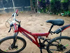 DSI Bicycle