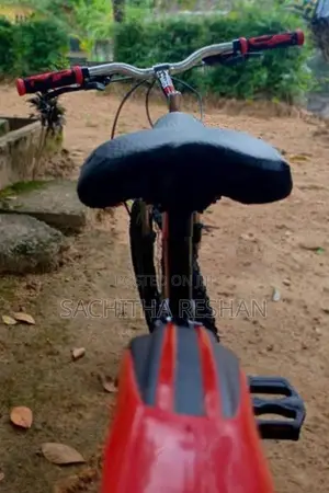 DSI Bicycle