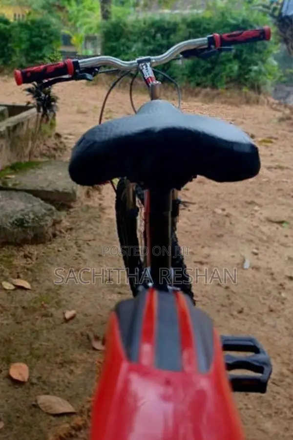 DSI Bicycle