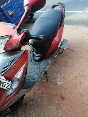 TVS Streak Trim 2013