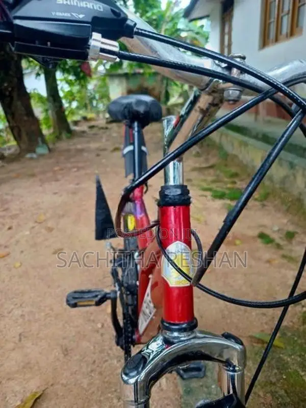 DSI Bicycle