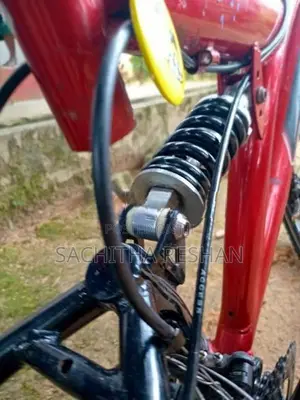 DSI Bicycle
