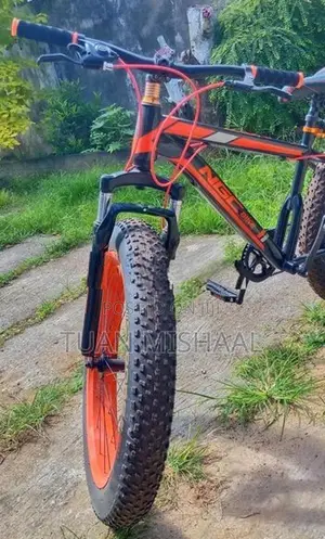 NGC Fat Tyre Mountain Bike